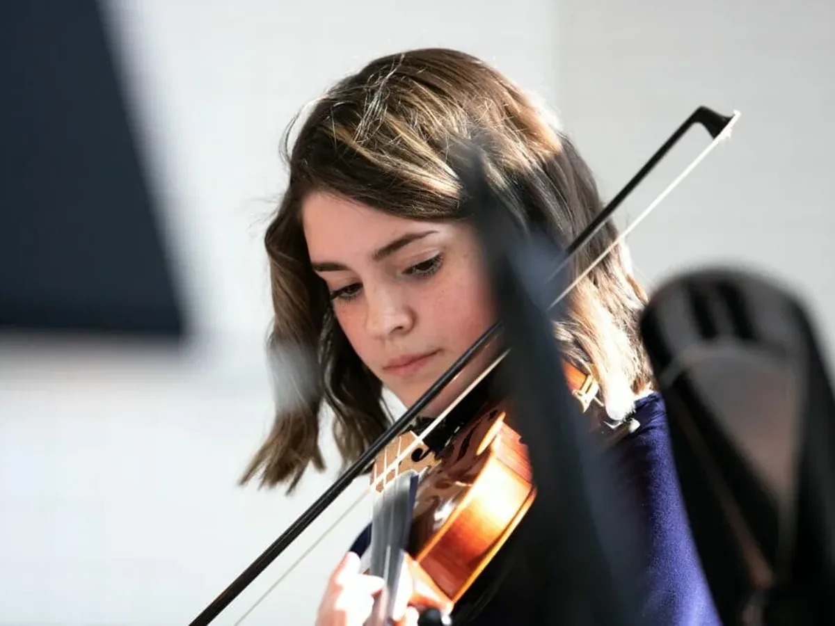 Violin
